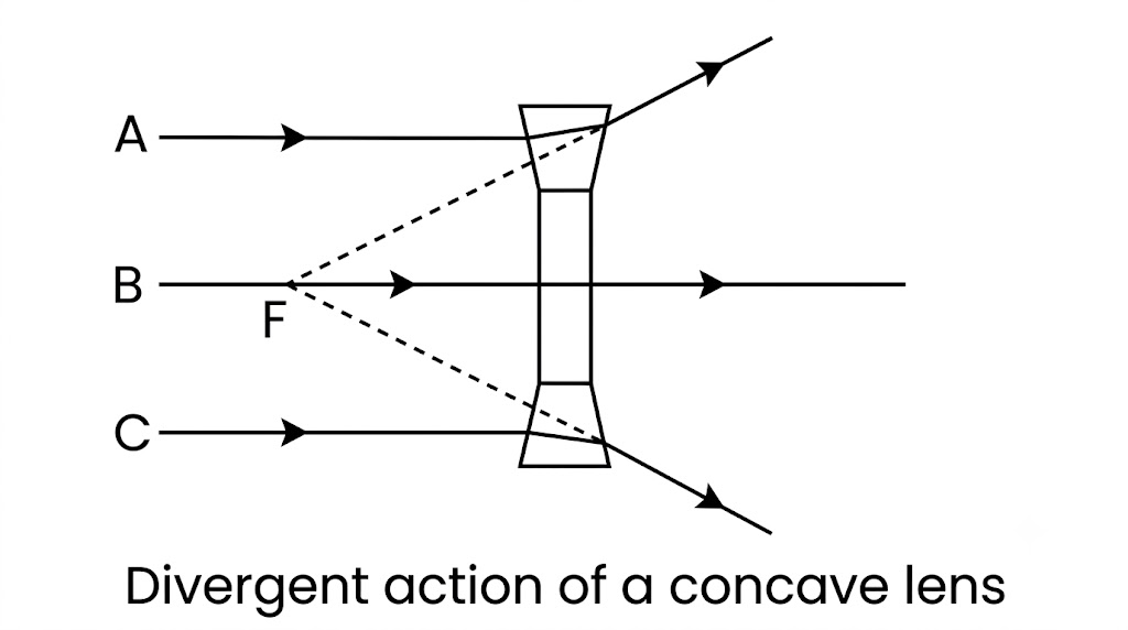Fig. 5.6 Divergent action of a concave lens